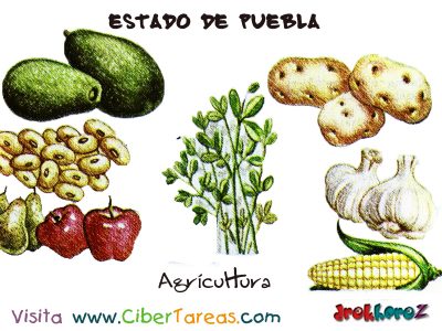 Agricultura Estado de Puebla