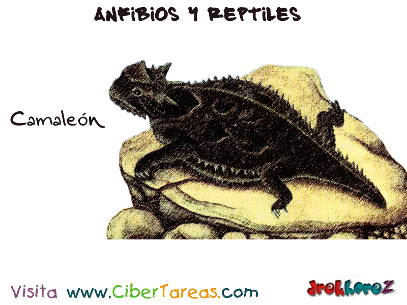 ajedrez artillería Desempacando El Camaleón – Anfibios y Reptiles | CiberTareas