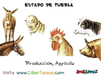 Produccion Agricola Estado de Puebla