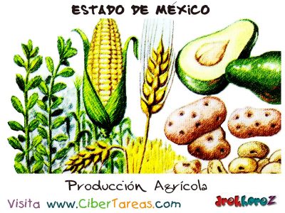 Produccion Agricola Estado de Mexico