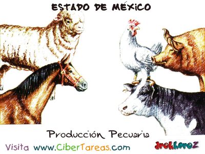 Produccion Pecuaria Estado de Mexico
