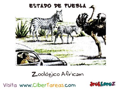 Zoologico Africam Estado de Puebla