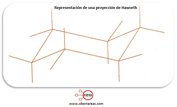 representacion de una proyeccion de haworth