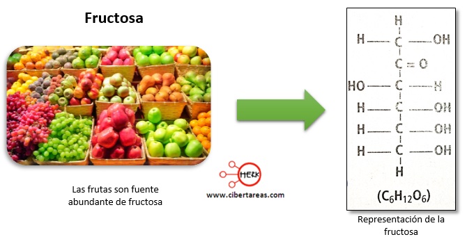 representacion grafica de la fructosa