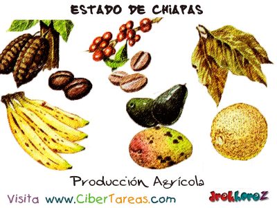 Produccion Agricola Estado de Chiapas
