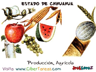 Produccion Agricola Estado de Chihuahua