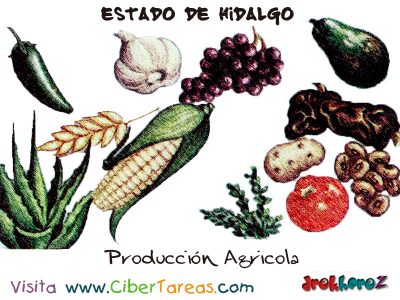 Produccion Agricola Estado de Hidalgo