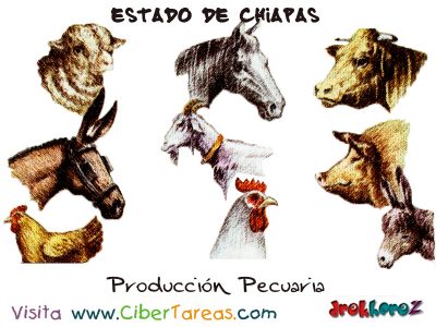 Produccion Pecuaria Estado de Chiapas