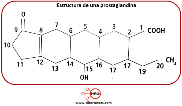 estructura de la prostaglandina