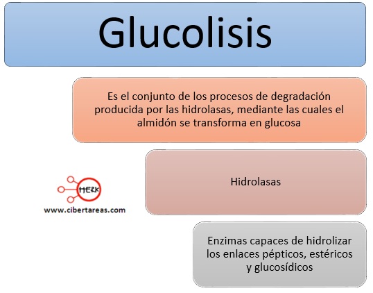 glucolisis mapa conceptual