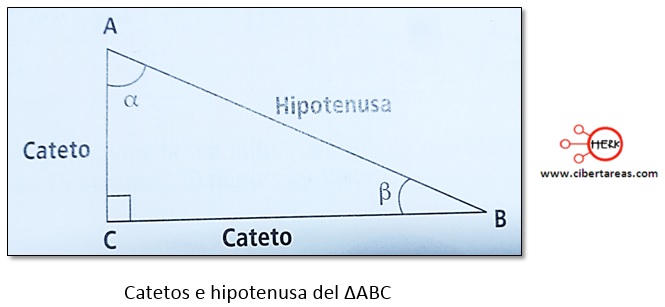 catetos e hipotenusa del triangulo abc