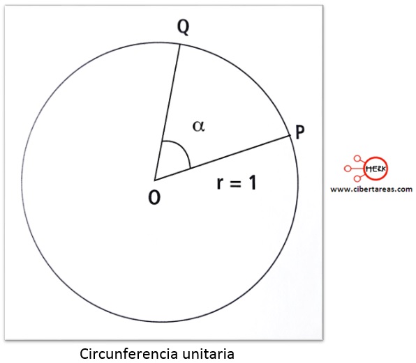 circunferencia unitaria