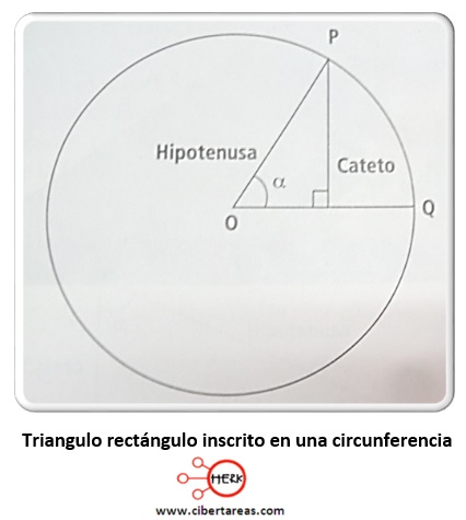 trianguo rectangulo inscrito en una circunferencia