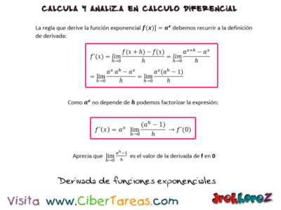 Derivadas de funciones exponenciales Calculo Diferencial
