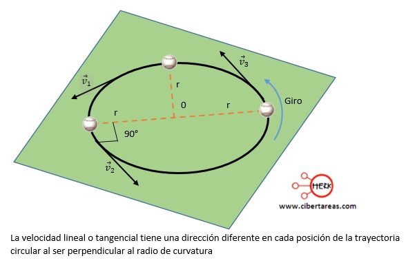 velocidad lineal o tangencial en un movimiento circular