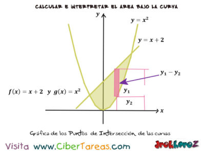 Grafica de Puntos de interseccion de las curvas en el Area entre dos graficas Calculo Integral