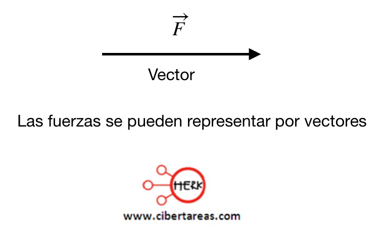 las fuerzas se representan en vectores
