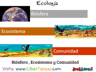 Biosfera Ecosistema y Comunidad Introduccion Ecologia