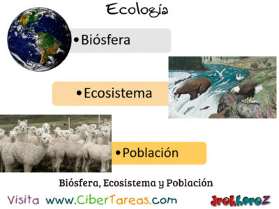 Biosfera Ecosistema y Poblacion Introduccion Ecologia