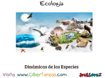Dinamica de las Especies en los Ecosistemas Conceptos Fundamentales Ecologia