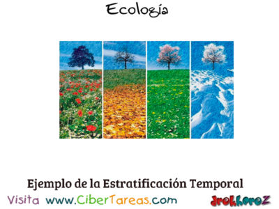 Ejemplo de la Estratificacion Temporal Conceptos Fundamentales Ecologia