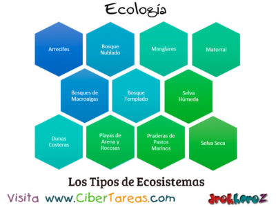 Los Tipos de Ecosistemas Conceptos Fundamentales Ecologia