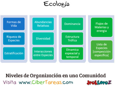 Niveles de Organización en una Comunidad Conceptos Fundamentales Ecologia