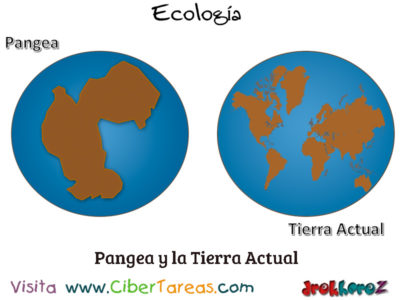 Pangea y la Tierra Actual Biosfera Biodiversidad en la Biosfera Ecologia
