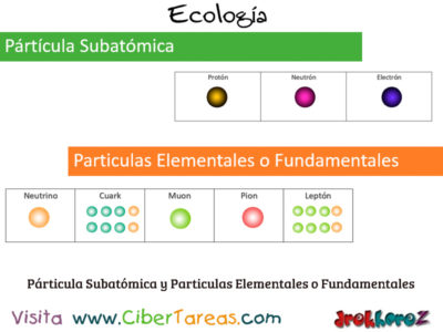 Particula Subatomica y Particulas Elementales o Fundamentales Introduccion Ecologia