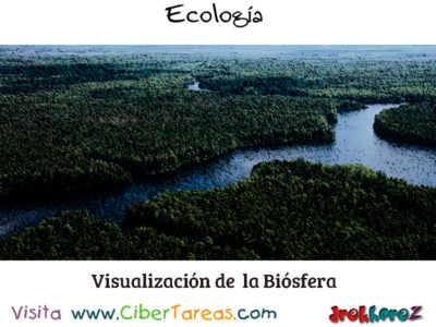 Visualizacion de la Biosfera Biodiversidad en la Biosfera Ecologia