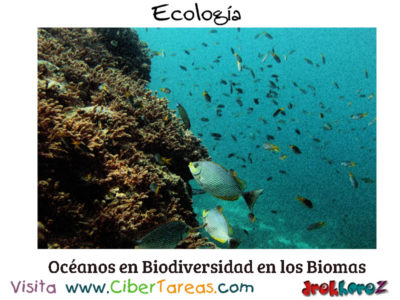 Arrecifes en los Oceanos Biodiversidad en los Biomas Ecologia
