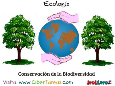 Conservacion de la Biodiversidad Biodiversidad en la Biosfera Ecologia