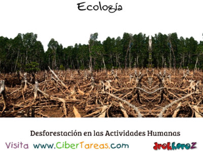 Deforestacion en las Actividades Humanas en la Biosfera Ecologia