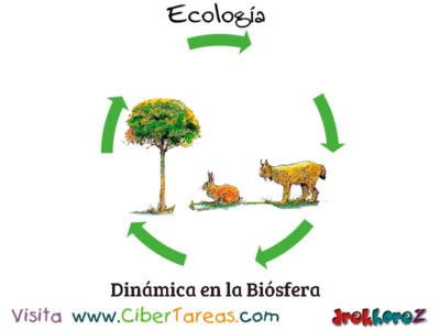 Dinamica de la Biosfera Biodiversidad en la Biosfera Ecologia