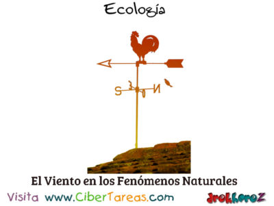 El Viento Fenomenos Naturales en la Biosfera Ecologia