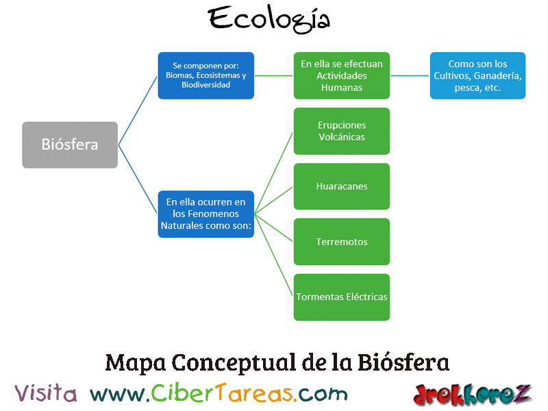Mapa Conceptual de la Biósfera – Ecología – CiberTareas
