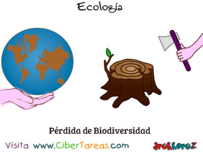 Perdida de Biodiversidad en las Actividades Humanas en la Biosfera Ecologia