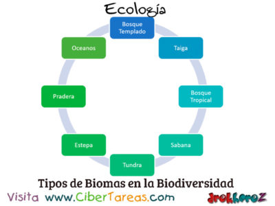Tipos de Biomas en la BioTipos de Biomas en la Bodiversidad Ecologia