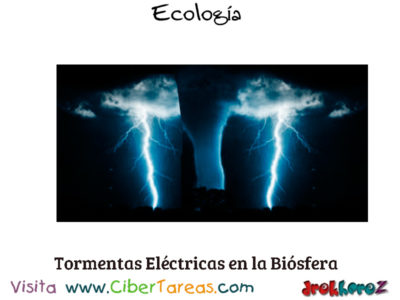 Tormetas Electricas en la Biosfera Biodiversidad en la Biosfera Ecologia