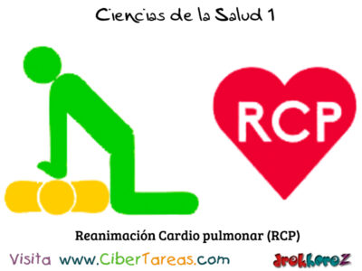 Reanimación Cardio pulmonar (RCP) en el Soporte Básico de Salvamento – Ciencias de la Salud 1 2