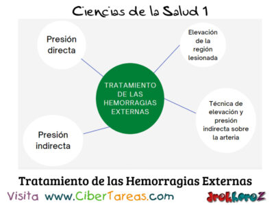 Clasificación y Tratamiento de las Hemorragias Externas – Ciencias de la Salud 1 2
