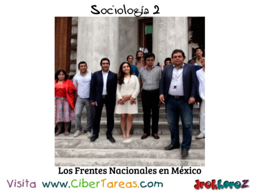 La Creación de Coordinadoras y Frentes Nacionales en México – Sociología 2 1