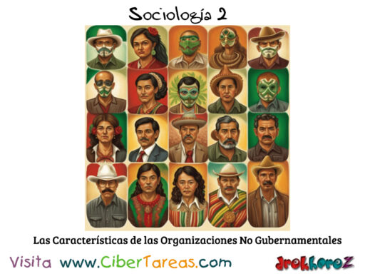Las Características de las Organizaciones No Gubernamentales – Sociología 2 0