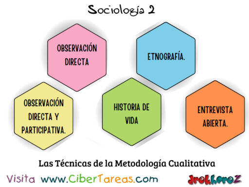 Las Técnicas de la Metodología Cualitativa – Sociología 2 0