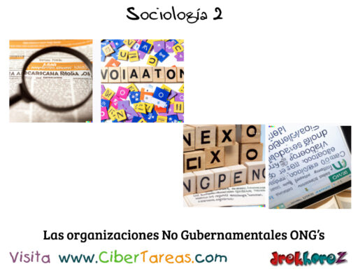 Las organizaciones No Gubernamentales ONG _ Sociología 2 0