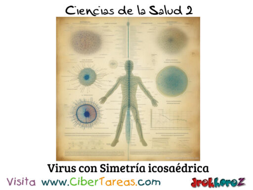 La Virología y Bacteriología – Ciencias de la Salud 2 2