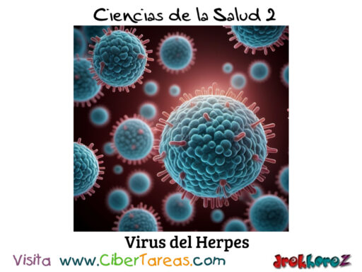 Las Patologías relacionadas con la Familia de los Herpesviridae – Ciencias de la Salud 0