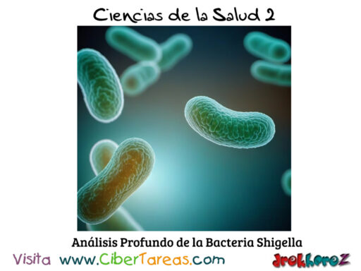 Análisis Profundo de la Bacteria Shigella – Ciencias de la Salud 2 0