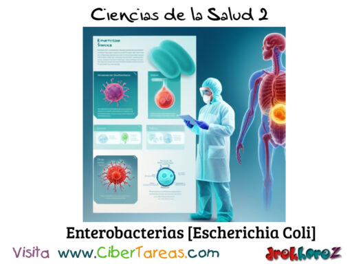 Las Enterobacterias – Ciencias de la Salud 2 1
