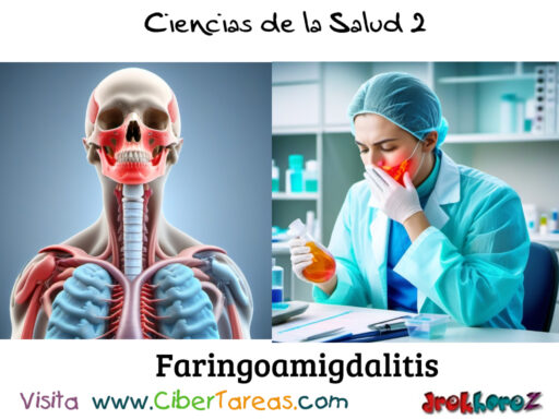 La Faringoamigdalitis – Ciencias de la Salud 2 1
